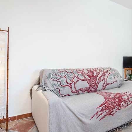 Holiday House Li Piri San Teodoro  Buitenkant foto
